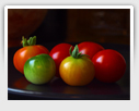 webmoban.net